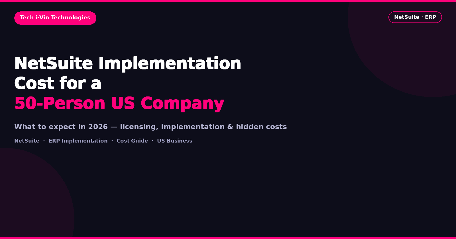 Blog2_Cover_NetSuite_Implementation_Cost (2)